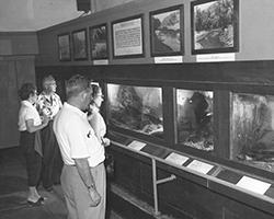 Small_Animal_Room, circa 1950s