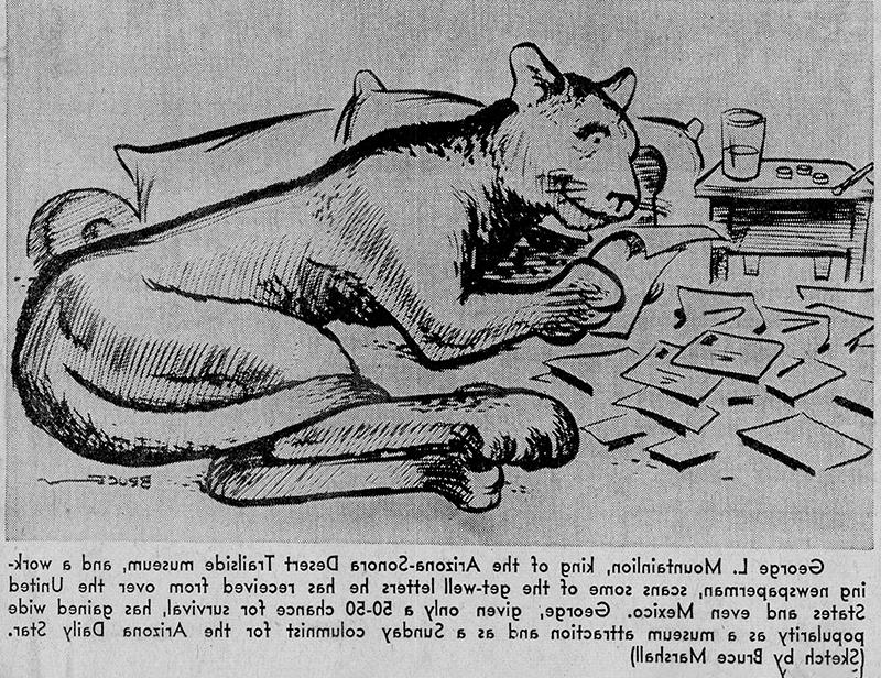 George L Mountainlion cartoons bruce marshall 1955